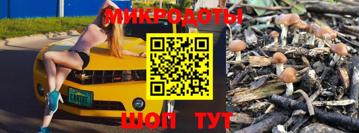 Новошахтинск  Псилоцибиновые грибы Cubensis  Галлюциногенные грибы Psilocybe  Вход с VPN 